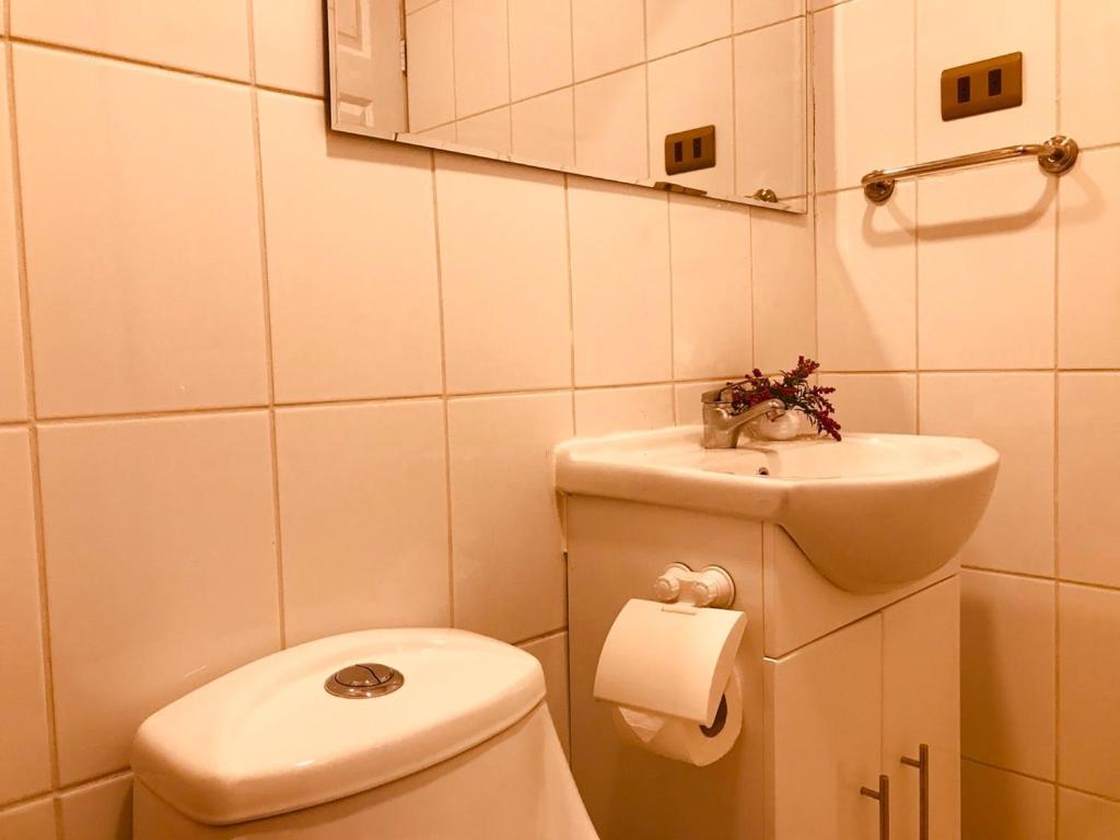 Apart Hotel Don Domingo Temuco Exterior photo